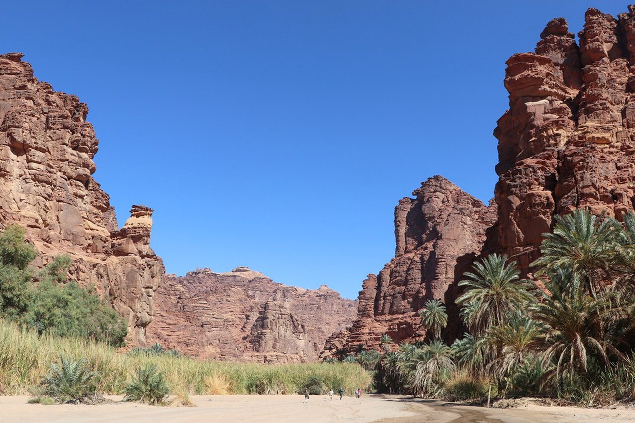 از وادی الدیسه شروع کنید.